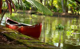 Die Backwaters von Kerala