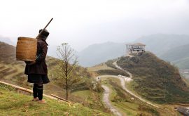 Reisen in allen Facetten erleben...