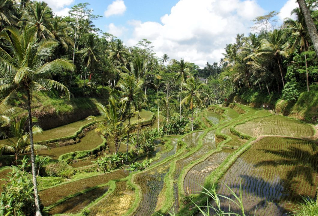 Ubud